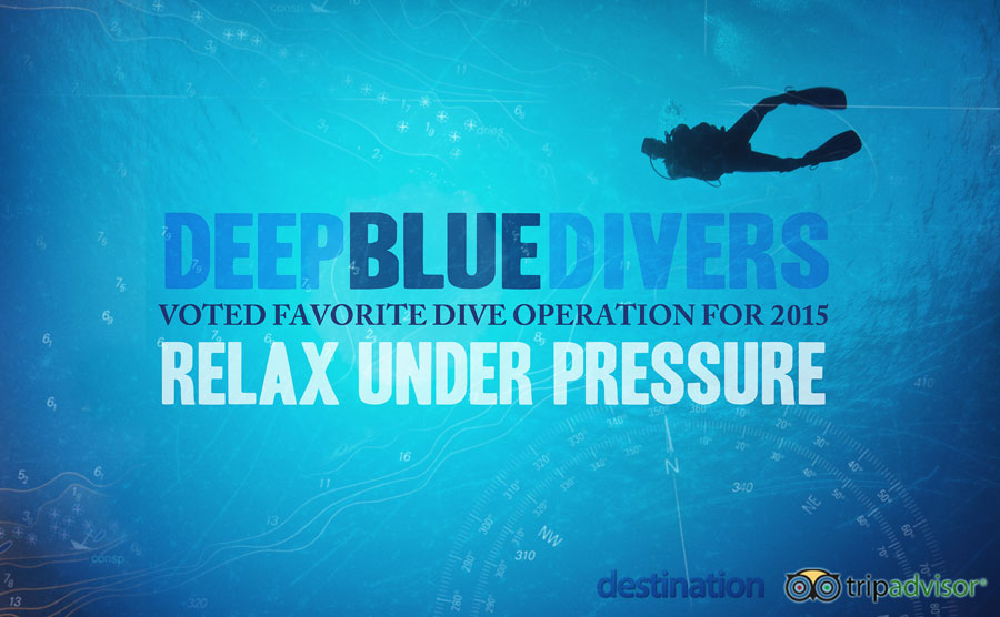 Blue Divers